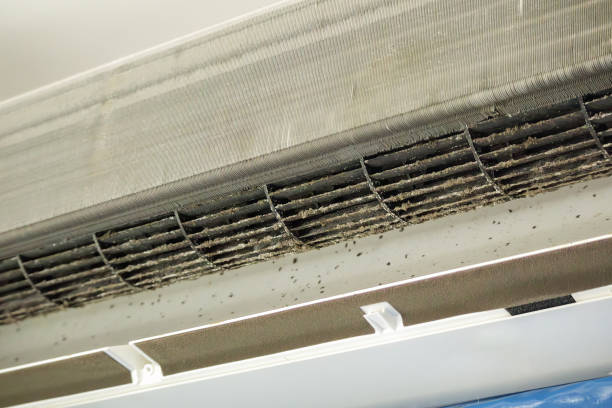 Best HVAC Air Duct Cleaning  in Rson, CA